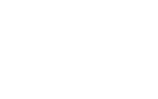 广东鸿盛峥科技有限公司